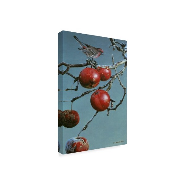 Ron Parker 'Winter Apples Purple Finch' Canvas Art,16x24